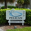 Pelican Preview Image